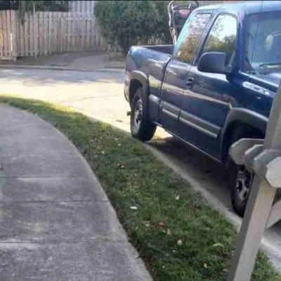 Roy's Mowing Services Logo