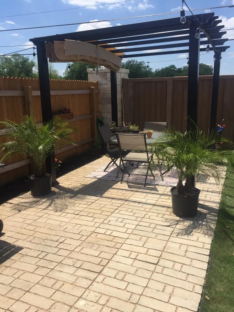Professional yard maintenance in Laredo, TX - Roy's Palms