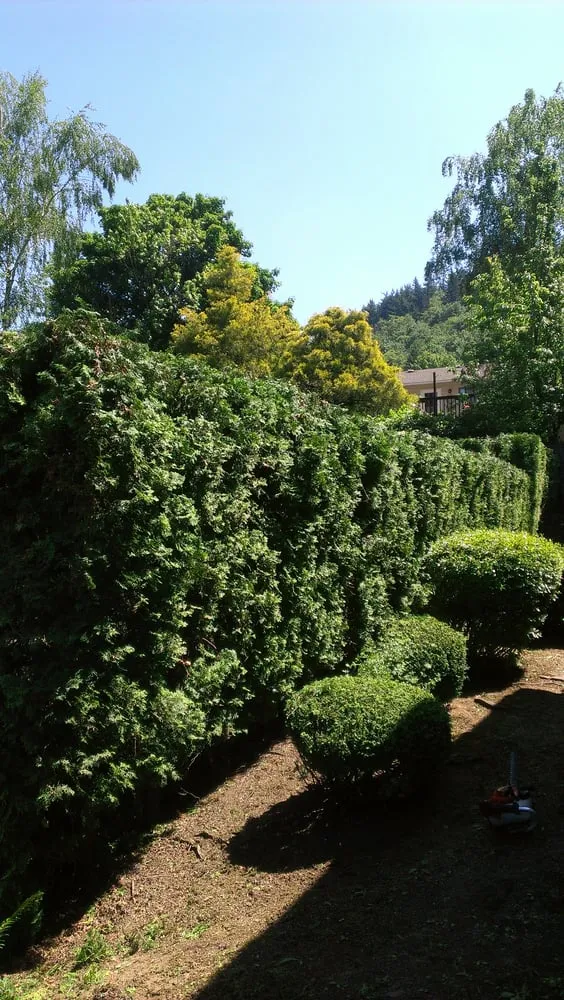 Professional landscaping services experts serving Milwaukie, OR - Roy's Yard and Haul LLC