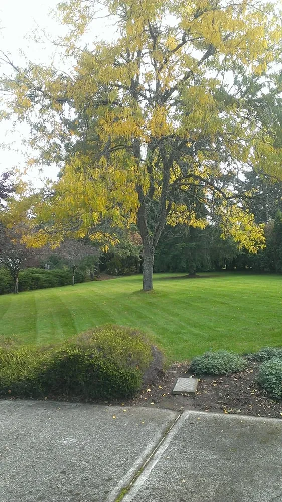 Trusted yard cleanup service in Milwaukie, OR - Roy's Yard and Haul LLC