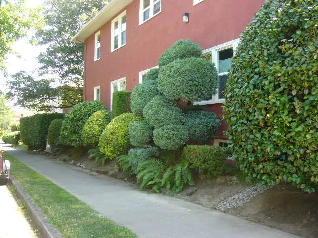 Expert garden landscaping experts serving Milwaukie, OR - Roy's Yard and Haul LLC