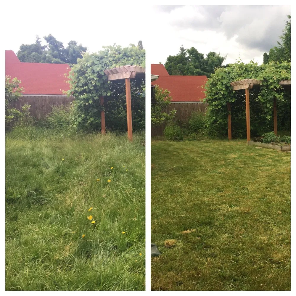 Top-rated yard cleanup service in Milwaukie, OR - Roy's Yard and Haul LLC