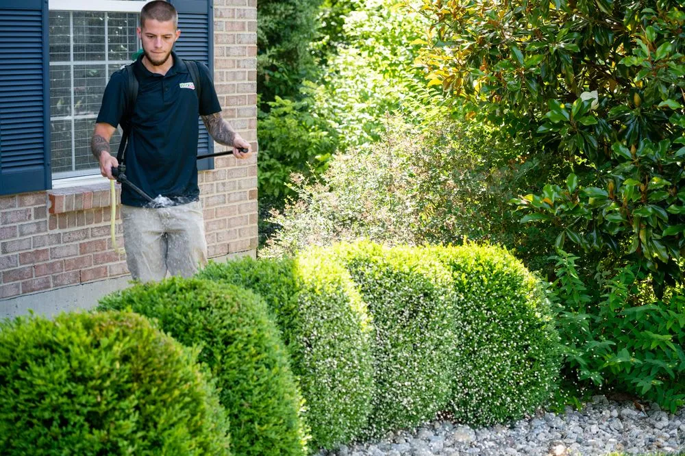 Professional yard maintenance in Batavia, OH - Royse Lawn Care