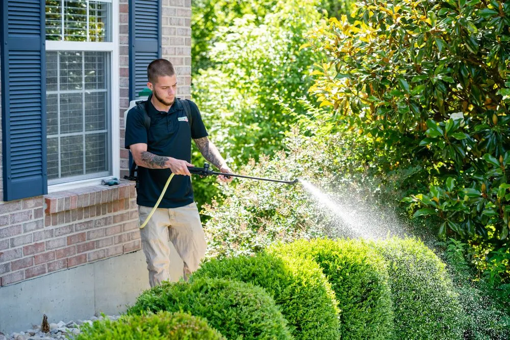 Top-rated yard cleanup service in Batavia, OH - Royse Lawn Care