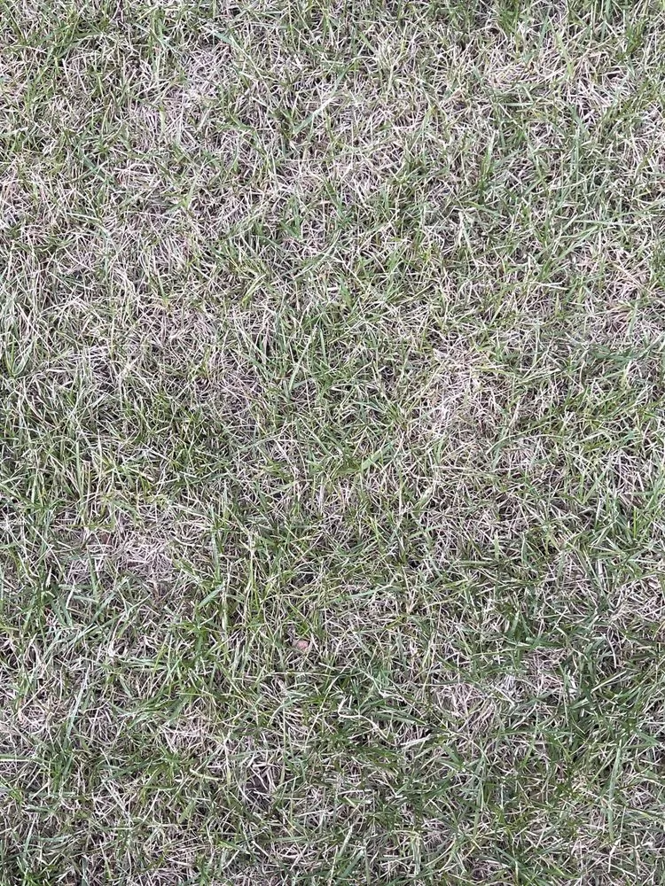 Local garden landscaping experts serving Colorado Springs, CO - Rozco's Construction