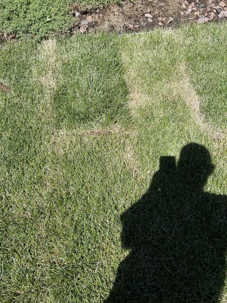 Expert landscape installation for homes across Colorado Springs, CO - Rozco's Construction