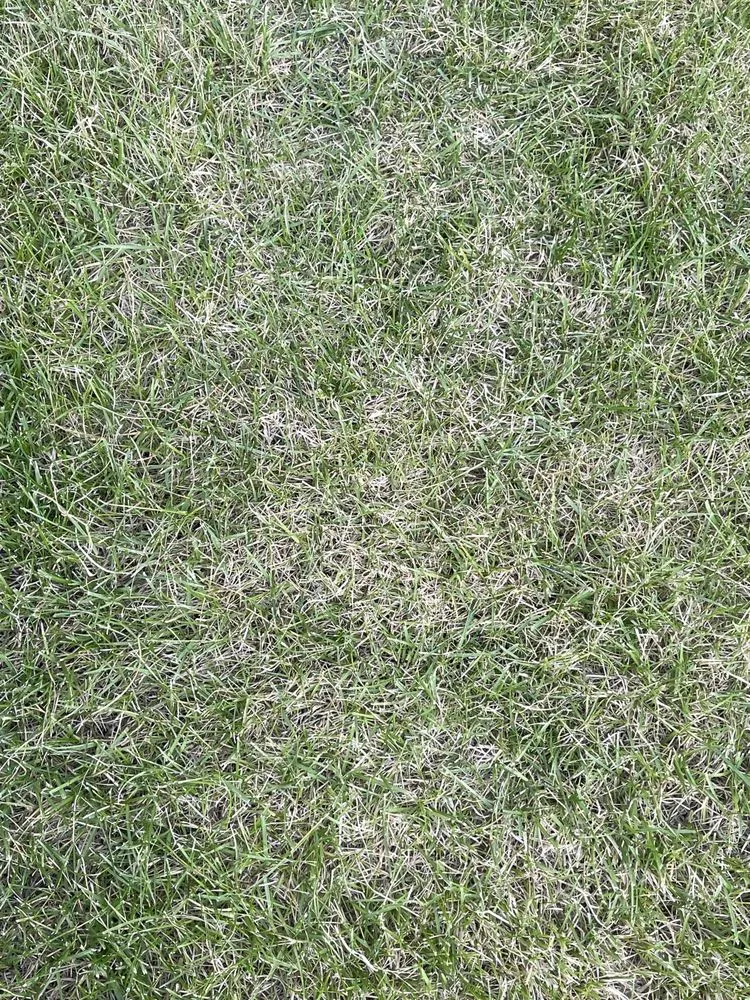 Custom landscape installation for outdoor upgrades across Colorado Springs, CO - Rozco's Construction