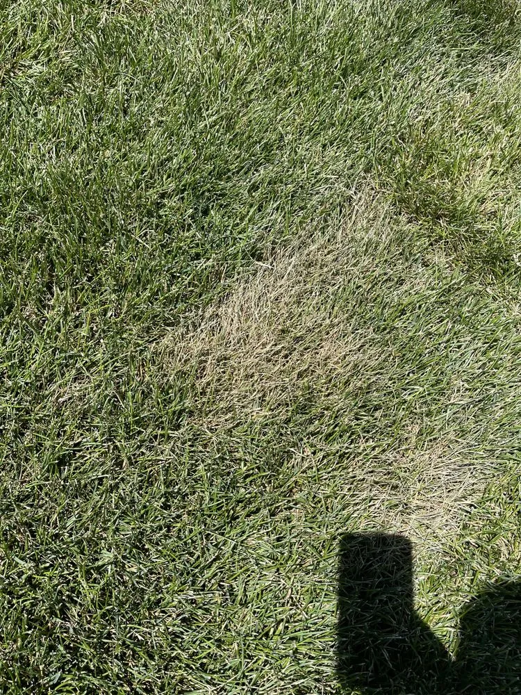 Reliable landscaping services for residential properties in Colorado Springs, CO by Rozco's Construction