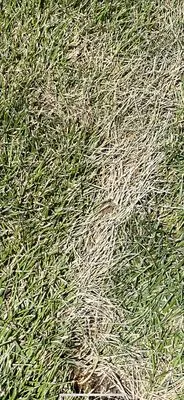 Rozco's Construction Logo