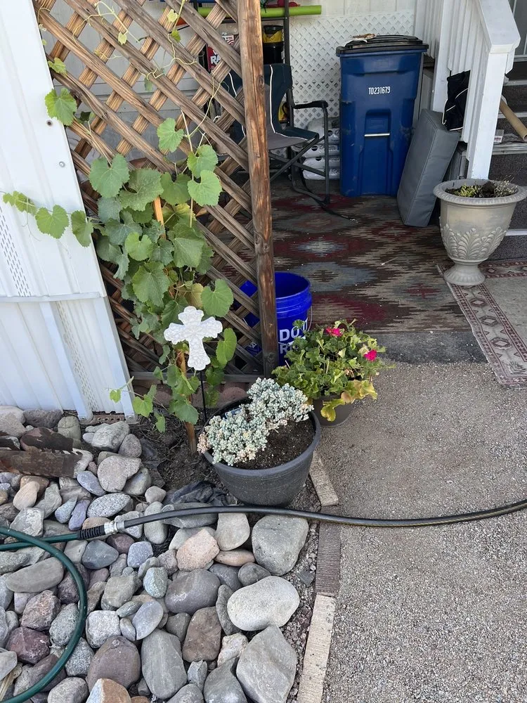 Professional landscape design experts serving Tucson, AZ - Rozet Landscape Design