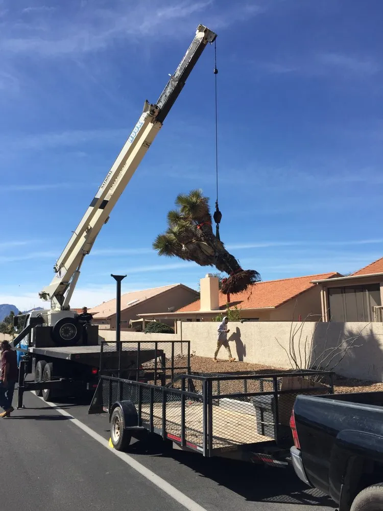 Professional yard maintenance for residential properties in Tucson, AZ by Rozet Landscape Design