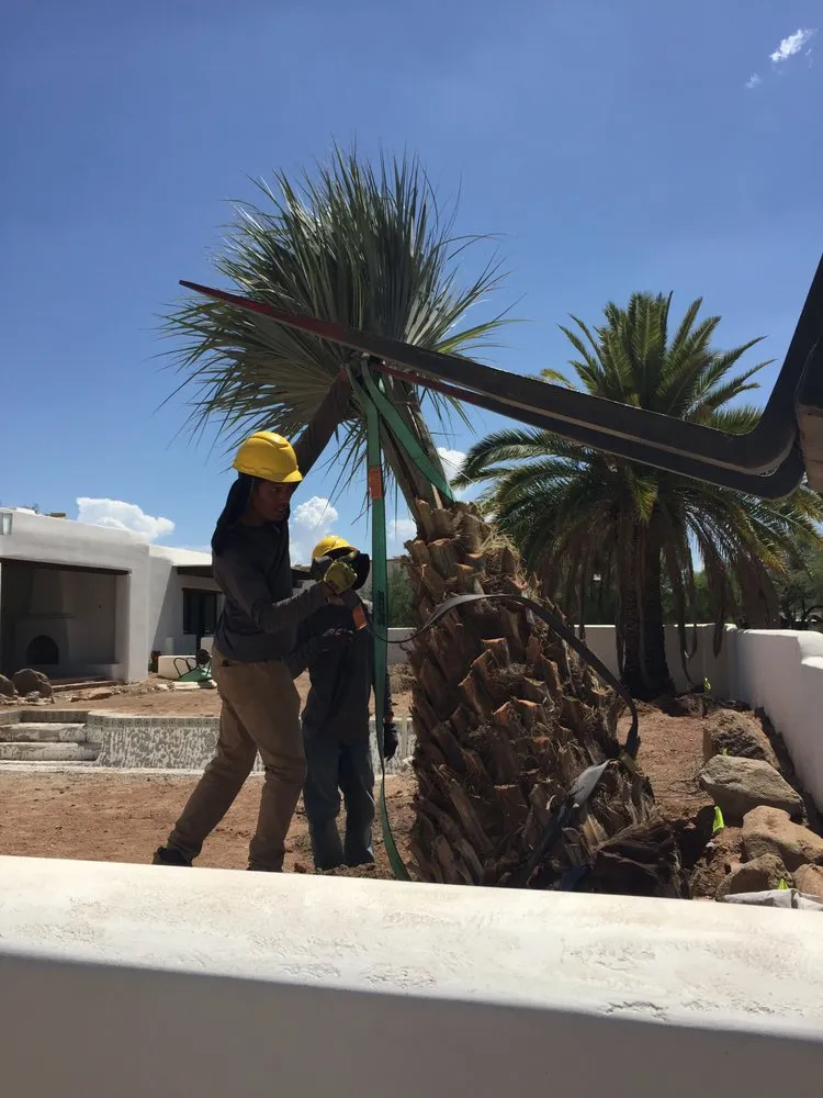 Reliable outdoor landscaping near you across Tucson, AZ - Rozet Landscape Design