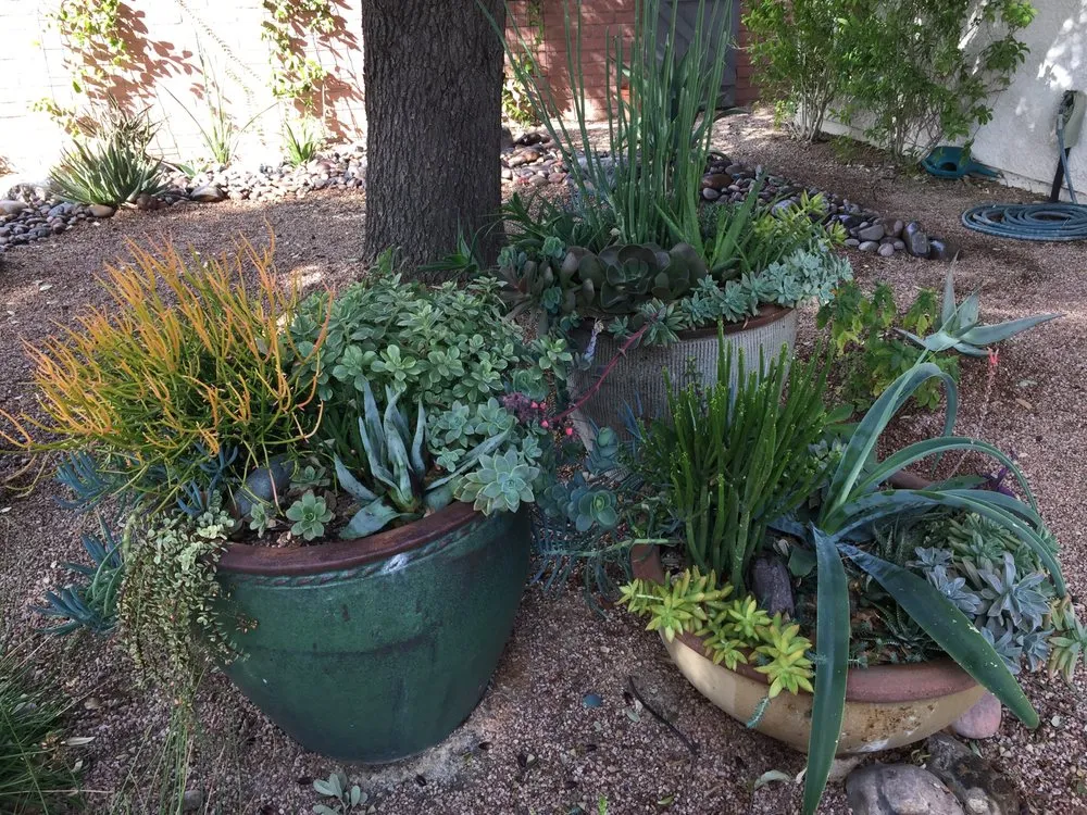 Professional residential landscaping near you in Tucson, AZ by Rozet Landscape Design