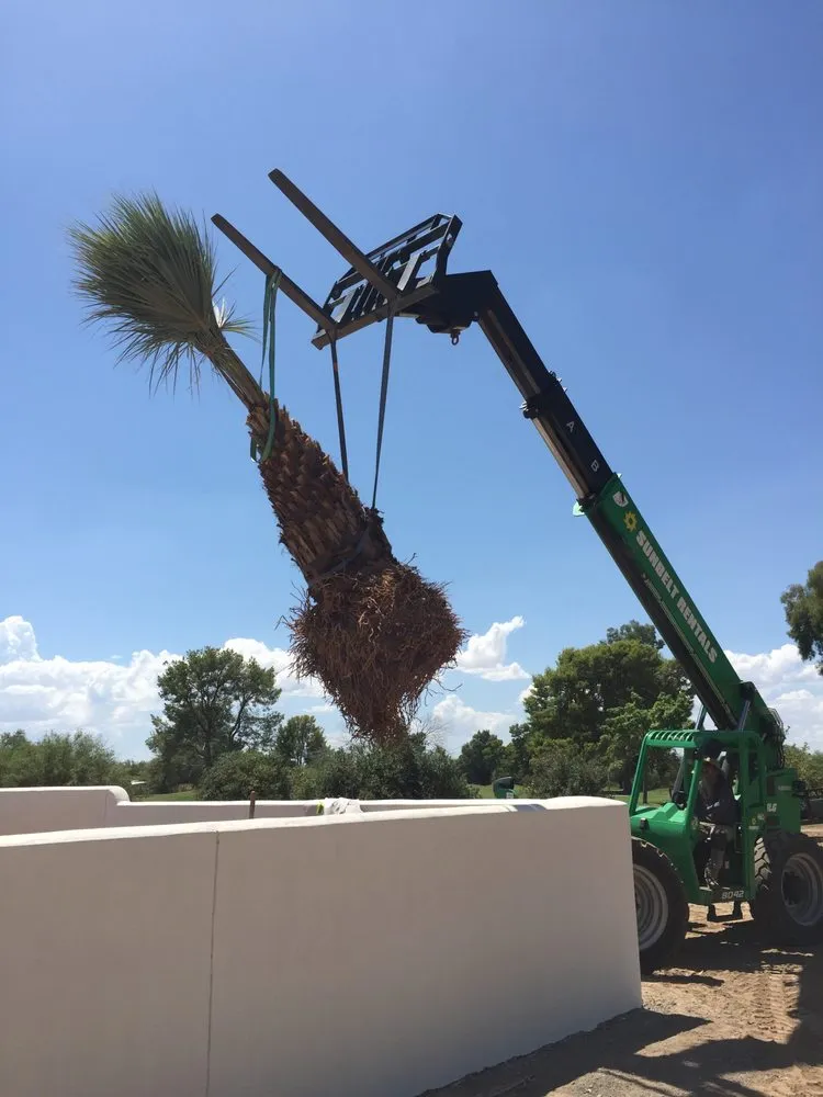 Top-rated residential landscaping experts serving Tucson, AZ - Rozet Landscape Design