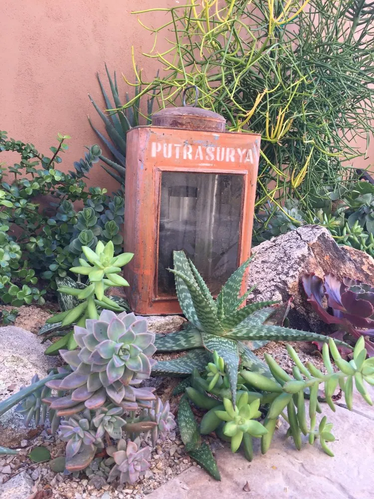 Professional garden landscaping near you across Tucson, AZ - Rozet Landscape Design