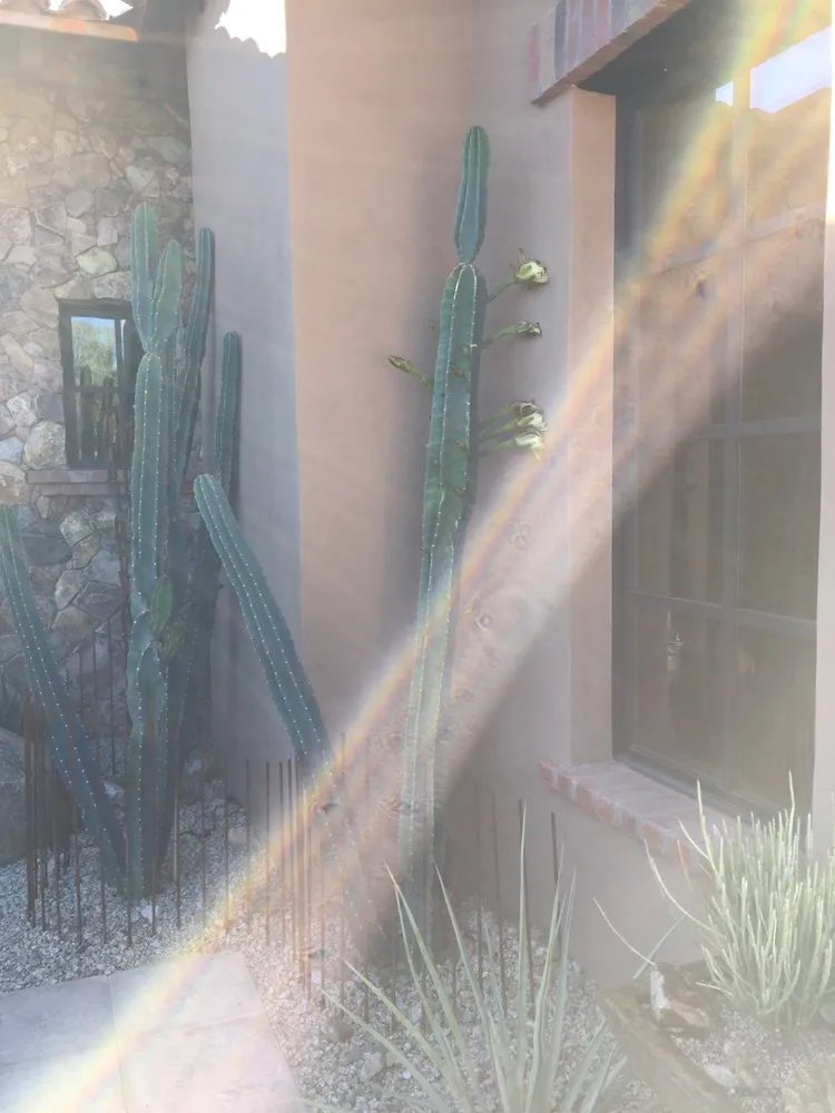 Custom garden landscaping for year-round maintenance in Tucson, AZ by Rozet Landscape Design