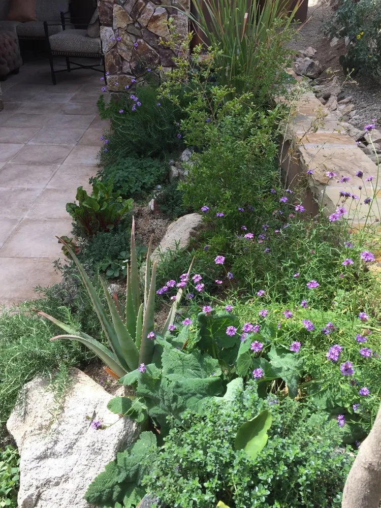 Professional landscape design in Tucson, AZ - Rozet Landscape Design