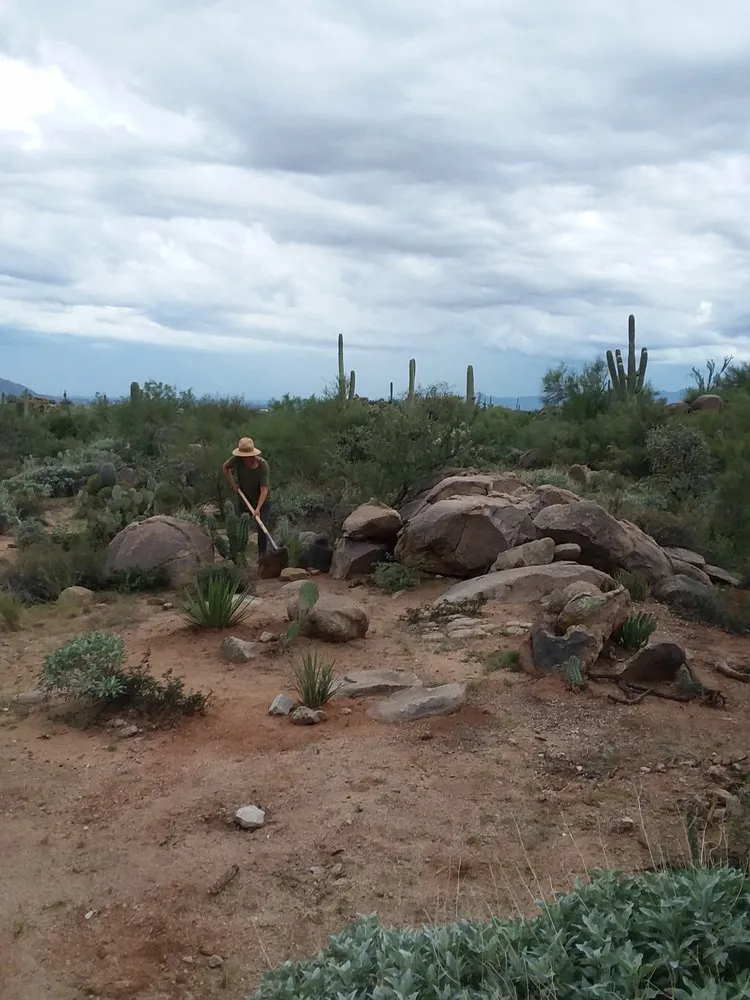 Expert outdoor landscaping in Tucson, AZ by Rozet Landscape Design