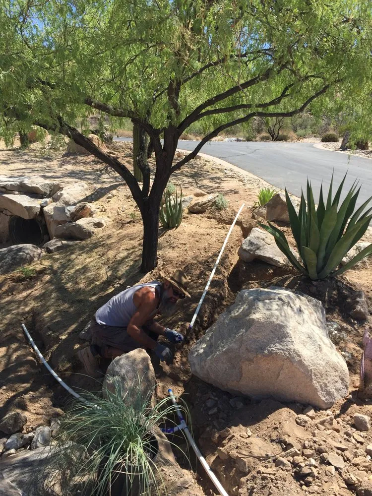 Top-rated garden landscaping for homes across Tucson, AZ - Rozet Landscape Design