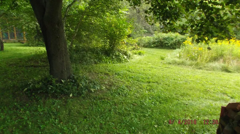 Local yard cleanup service experts serving Unadilla, NY - RP Enterprises