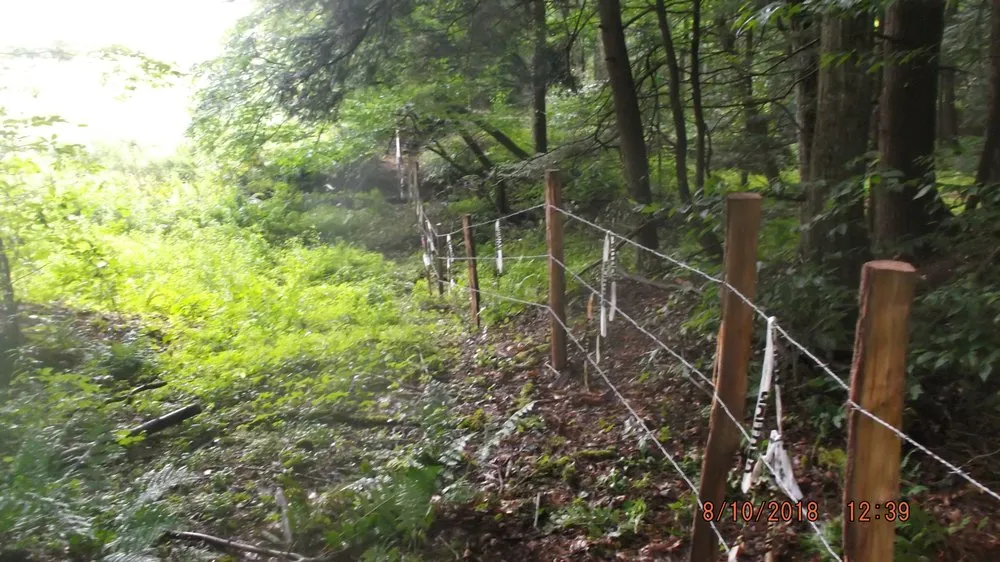 Reliable residential landscaping experts serving Unadilla, NY - RP Enterprises