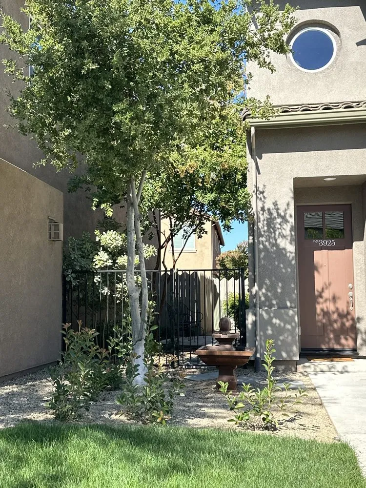 Reliable landscape installation for outdoor upgrades in Turlock, CA by RP Jr. Landscaping