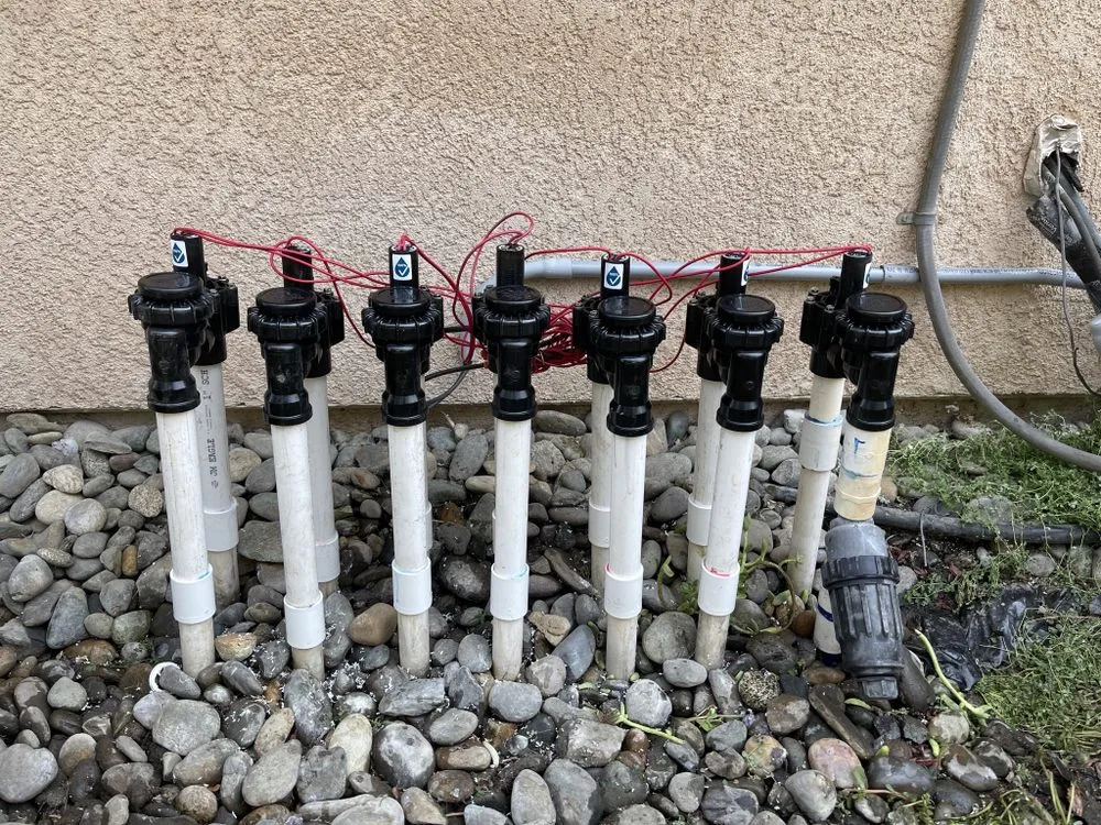 Custom yard maintenance in Turlock, CA by RP Jr. Landscaping