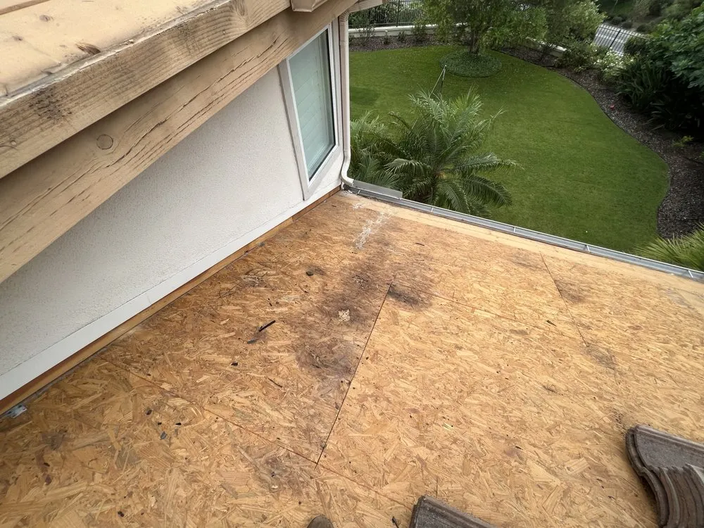 Top-rated lawn care service in Escondido, CA - RP Landscape & Design