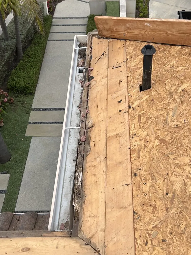 Affordable lawn care service experts serving Escondido, CA - RP Landscape & Design