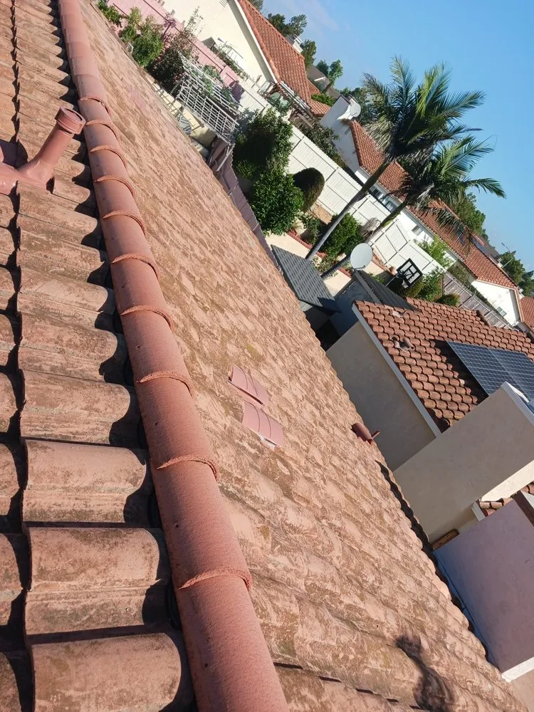 Expert yard maintenance for year-round maintenance in Escondido, CA by RP Landscape & Design