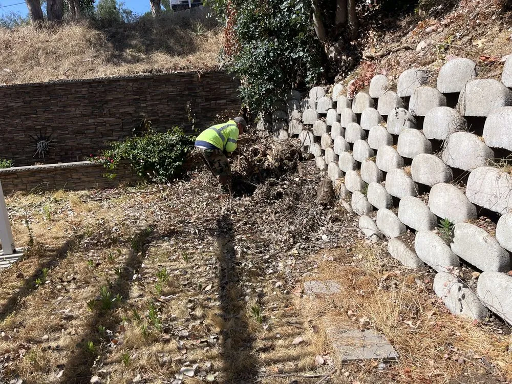 Local yard cleanup service experts serving Escondido, CA - RP Landscape & Design