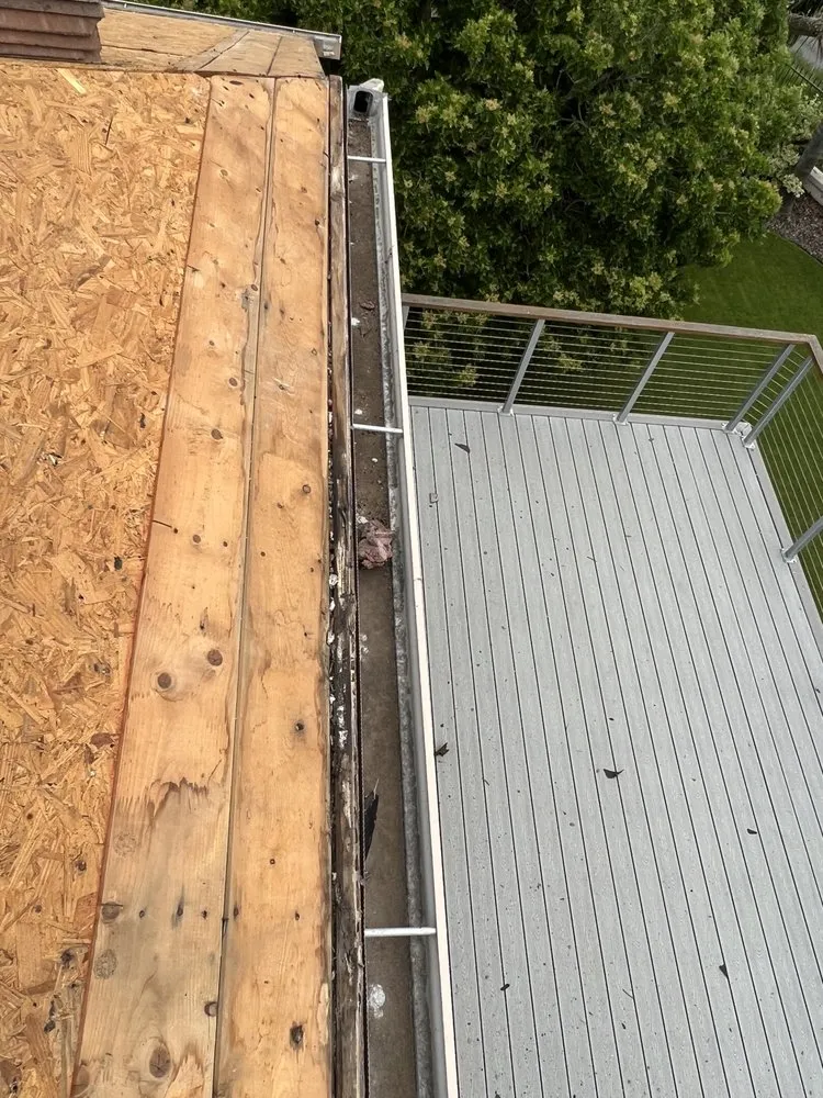 Reliable garden landscaping for beautiful yards in Escondido, CA by RP Landscape & Design