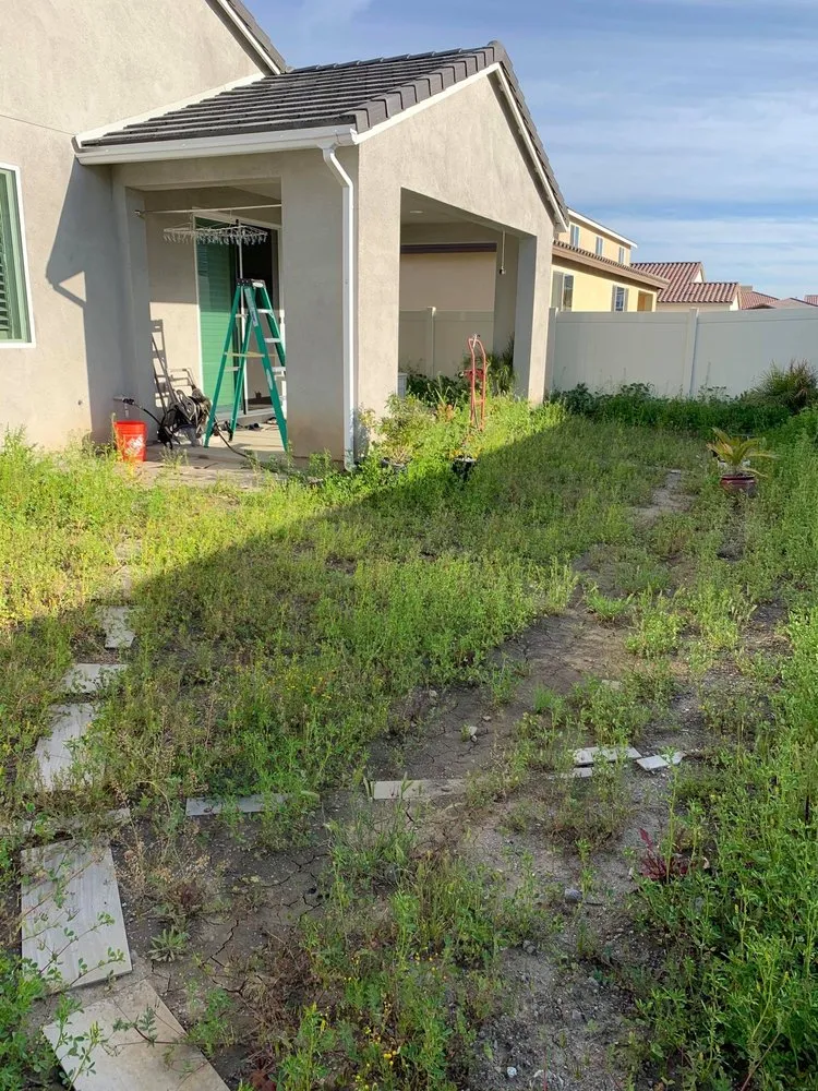 Affordable garden landscaping with custom design in Menifee, CA by RP Landscape Construction