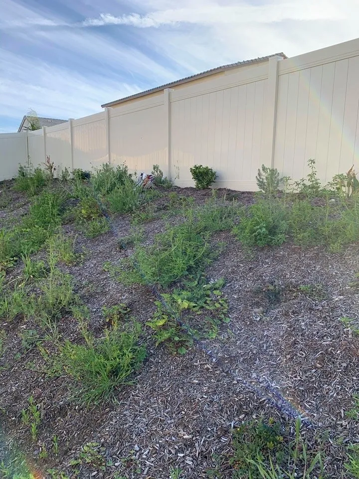 Professional lawn mowing service in Menifee, CA - RP Landscape Construction