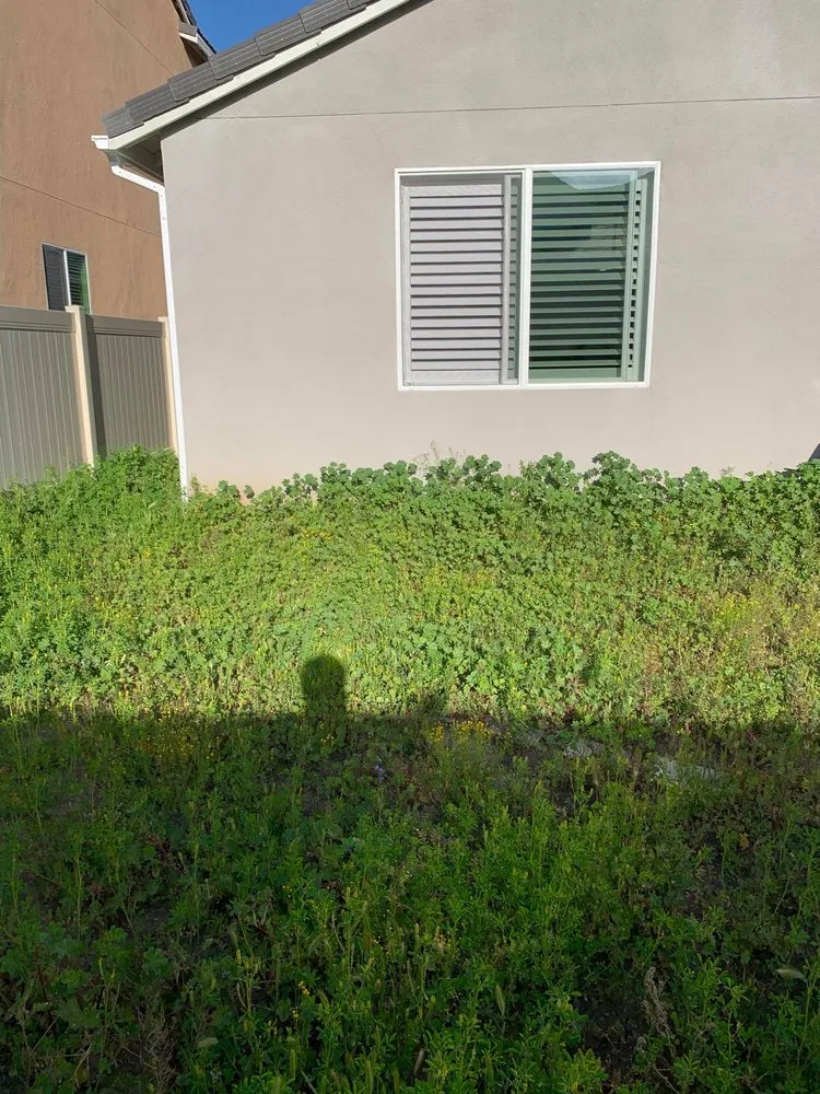 Top-rated yard maintenance for year-round maintenance across Menifee, CA - RP Landscape Construction