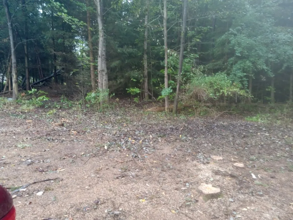 Trusted lawn care service in Oswego, NY - RP Landscaping And Handyman Services