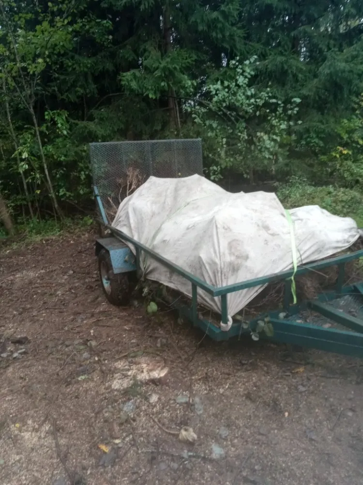 Local yard cleanup service with custom design in Oswego, NY by RP Landscaping And Handyman Services