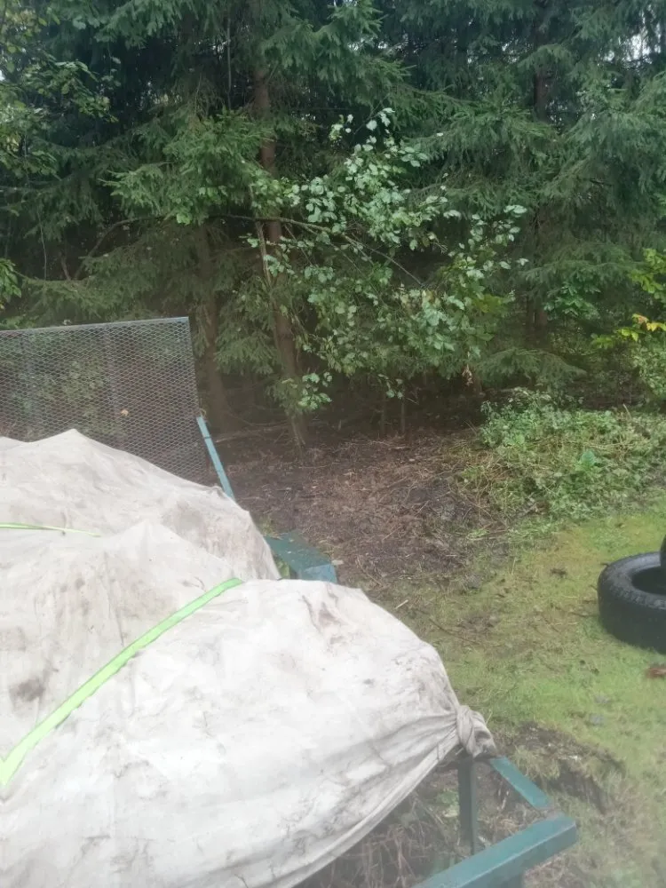 Expert landscape design for residential properties in Oswego, NY by RP Landscaping And Handyman Services