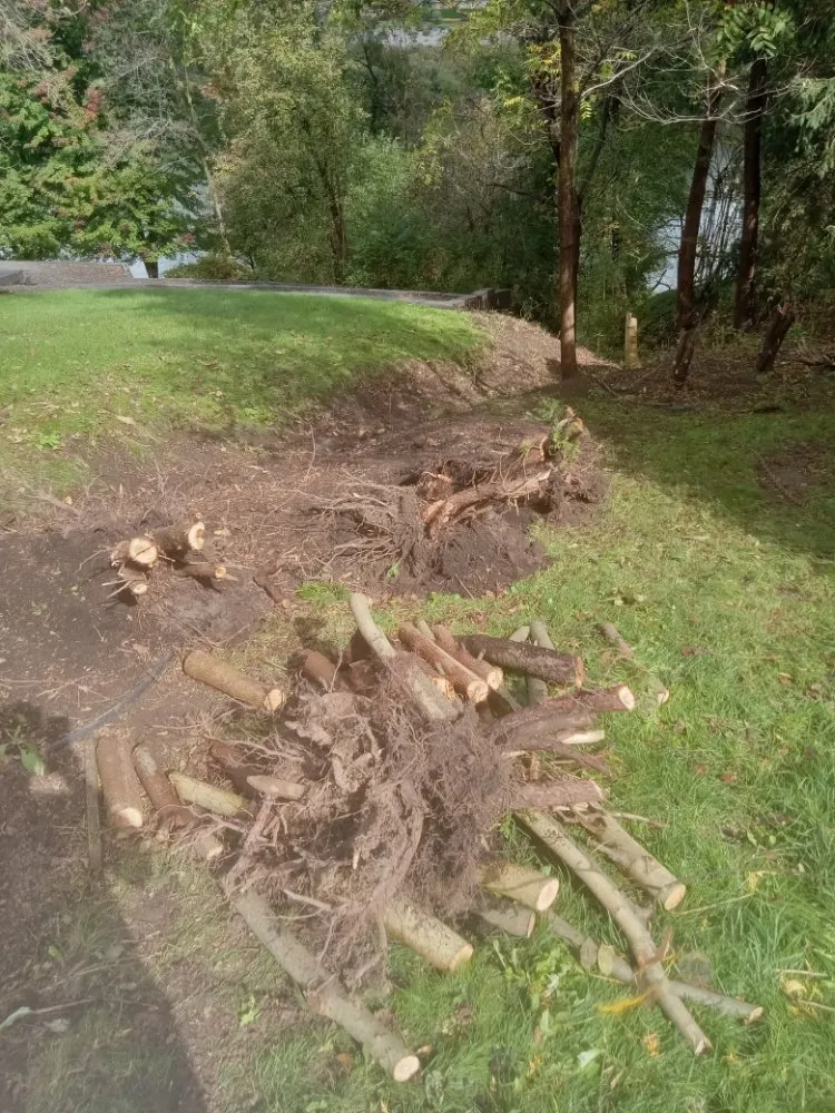 Affordable lawn care service near you across Oswego, NY - RP Landscaping And Handyman Services