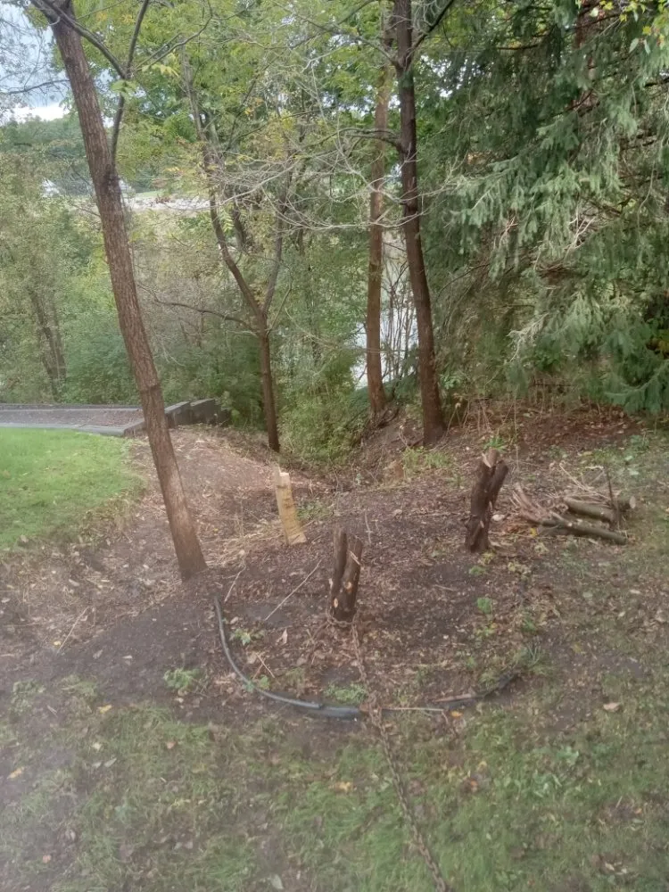 Reliable outdoor landscaping in Oswego, NY by RP Landscaping And Handyman Services