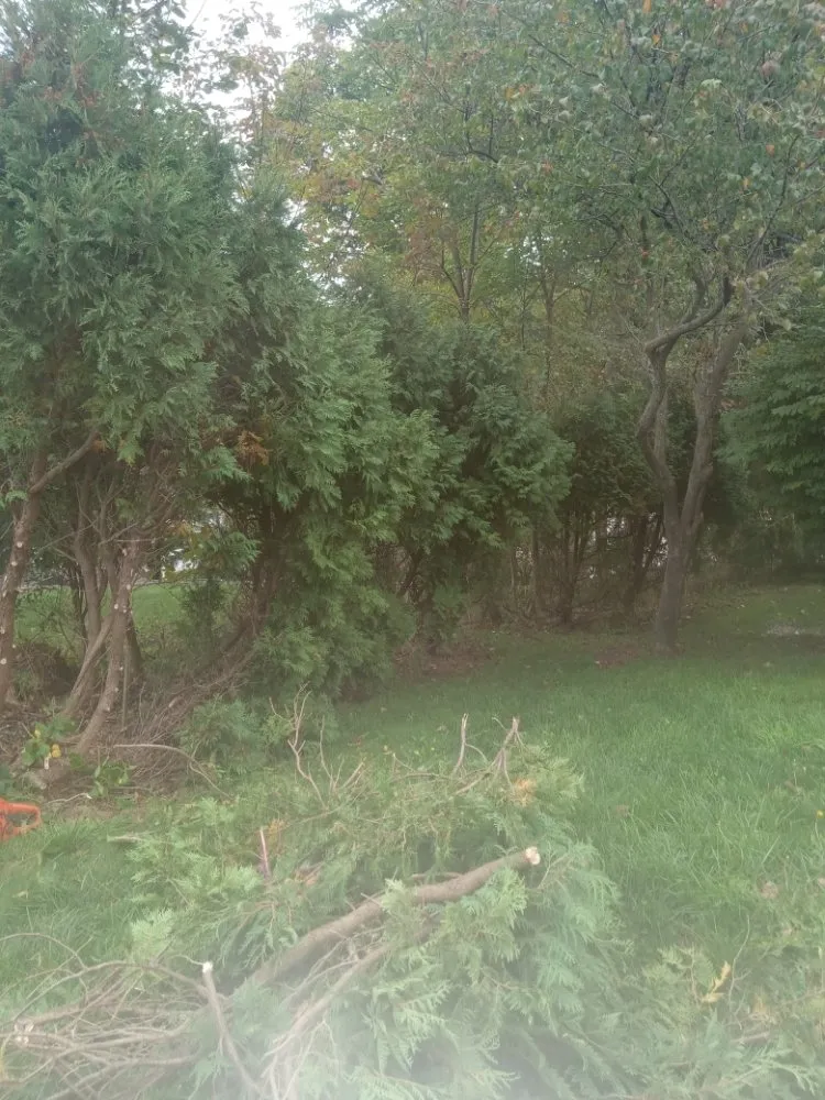 Local outdoor landscaping for beautiful yards across Oswego, NY - RP Landscaping And Handyman Services