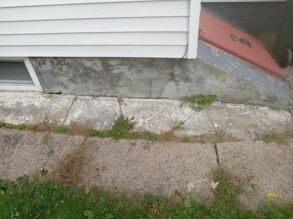 Reliable yard cleanup service in Oswego, NY - RP Landscaping And Handyman Services