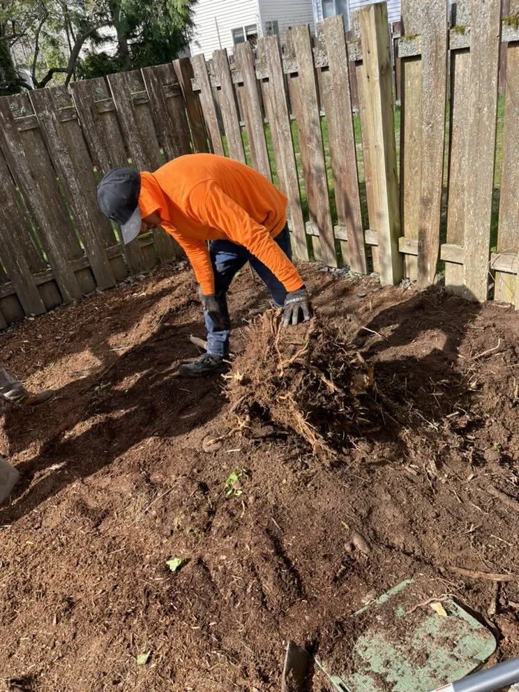 Reliable landscape installation in Bellevue, WA by R&P Landscaping Maintenance General Cleaning Irrigation