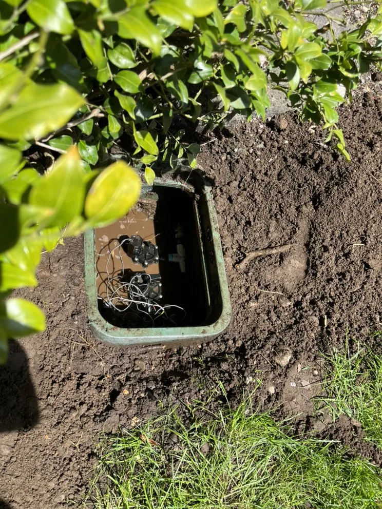 Affordable yard cleanup service for residential properties across Bellevue, WA - R&P Landscaping Maintenance General Cleaning Irrigation