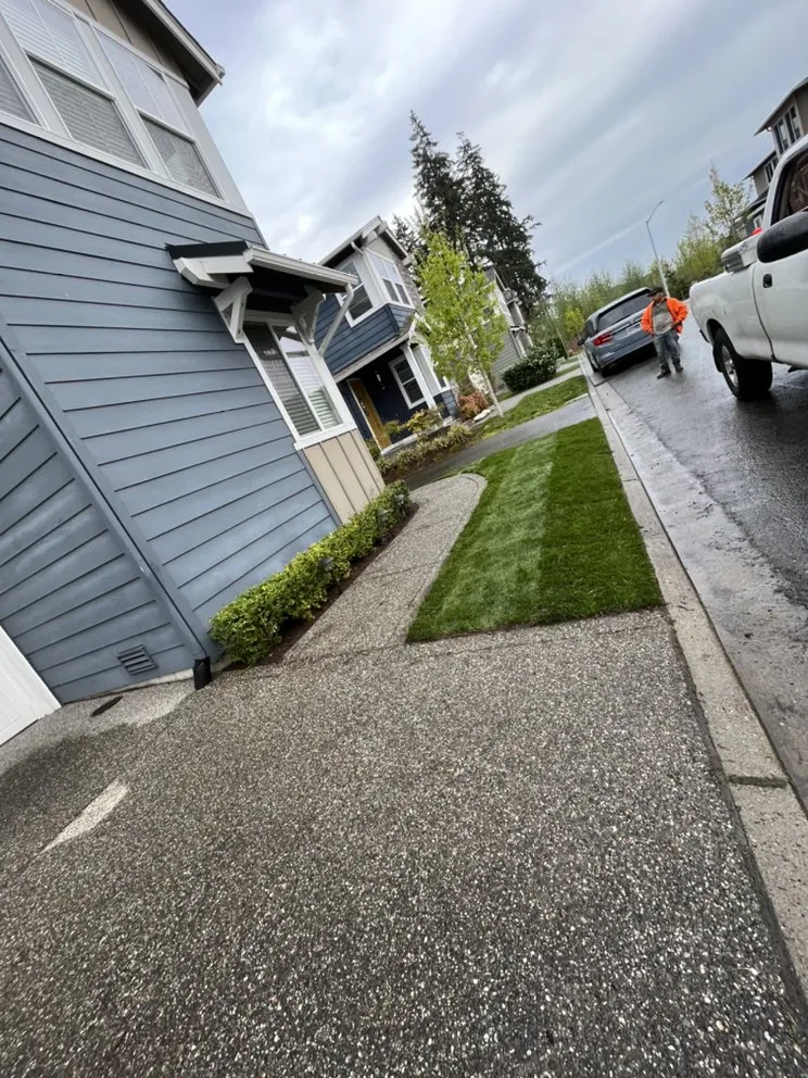 Top-rated outdoor landscaping for year-round maintenance across Bellevue, WA - R&P Landscaping Maintenance General Cleaning Irrigation
