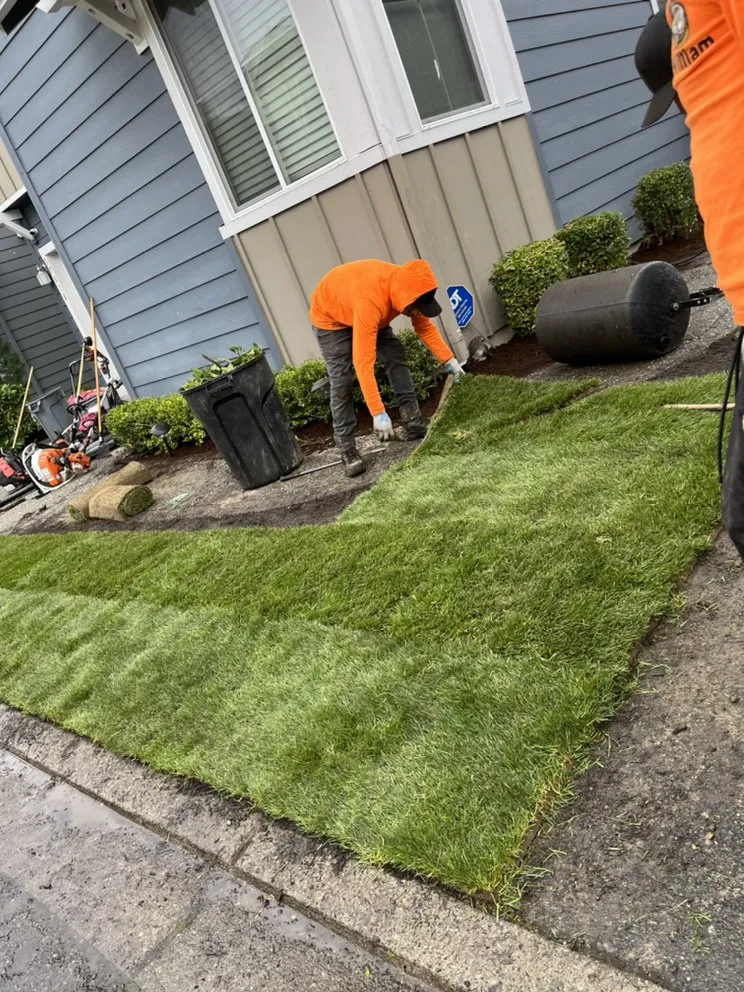 Trusted yard maintenance experts serving Bellevue, WA - R&P Landscaping Maintenance General Cleaning Irrigation