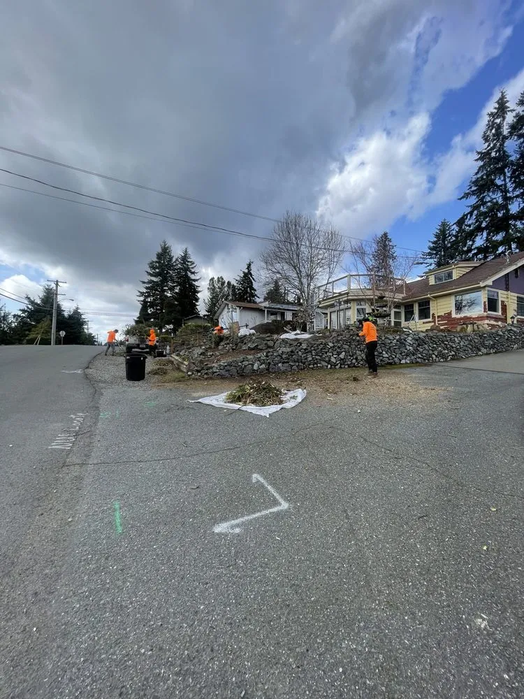 Custom yard maintenance for beautiful yards across Bellevue, WA - R&P Landscaping Maintenance General Cleaning Irrigation