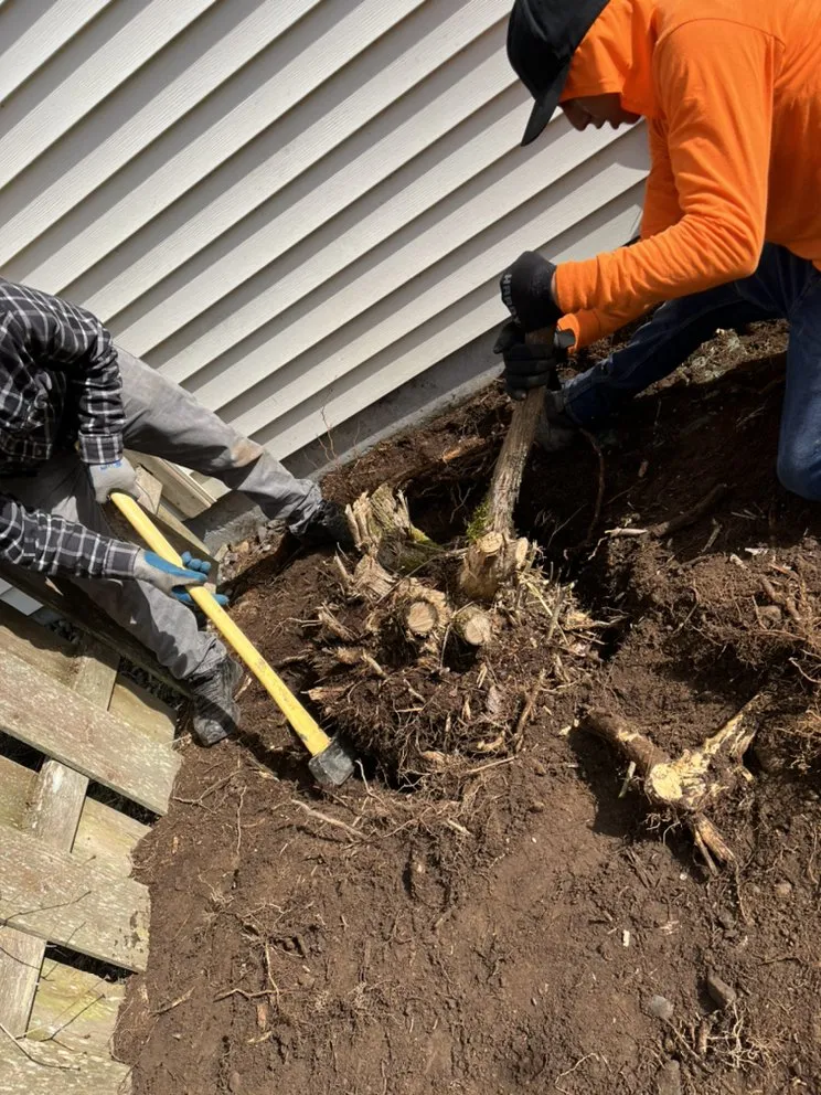 Affordable outdoor landscaping experts serving Bellevue, WA - R&P Landscaping Maintenance General Cleaning Irrigation