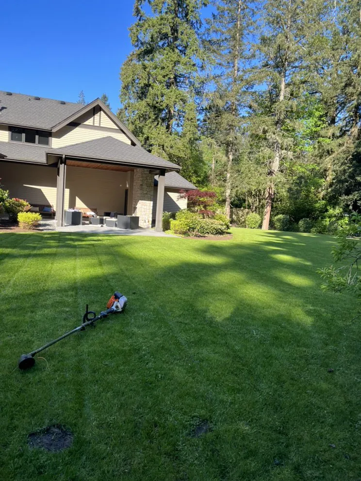 Local yard maintenance for beautiful yards across Bellevue, WA - R&P Landscaping Maintenance General Cleaning Irrigation
