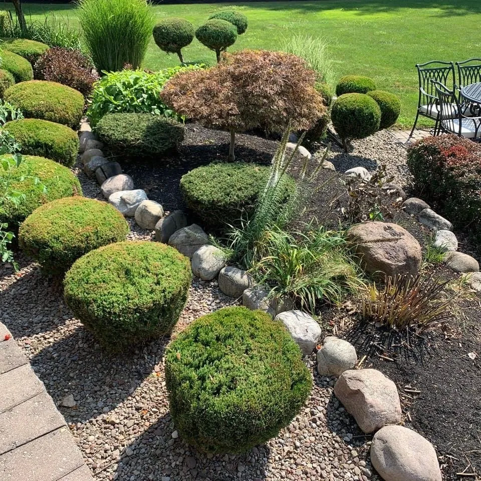 Affordable yard maintenance in Bellevue, WA - R&P Landscaping Maintenance General Cleaning Irrigation